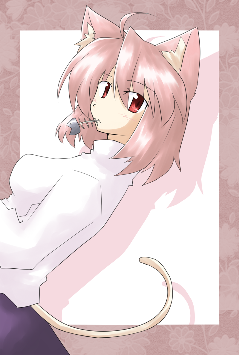 ���N���l�R�N�@-�@�l�R�A���N