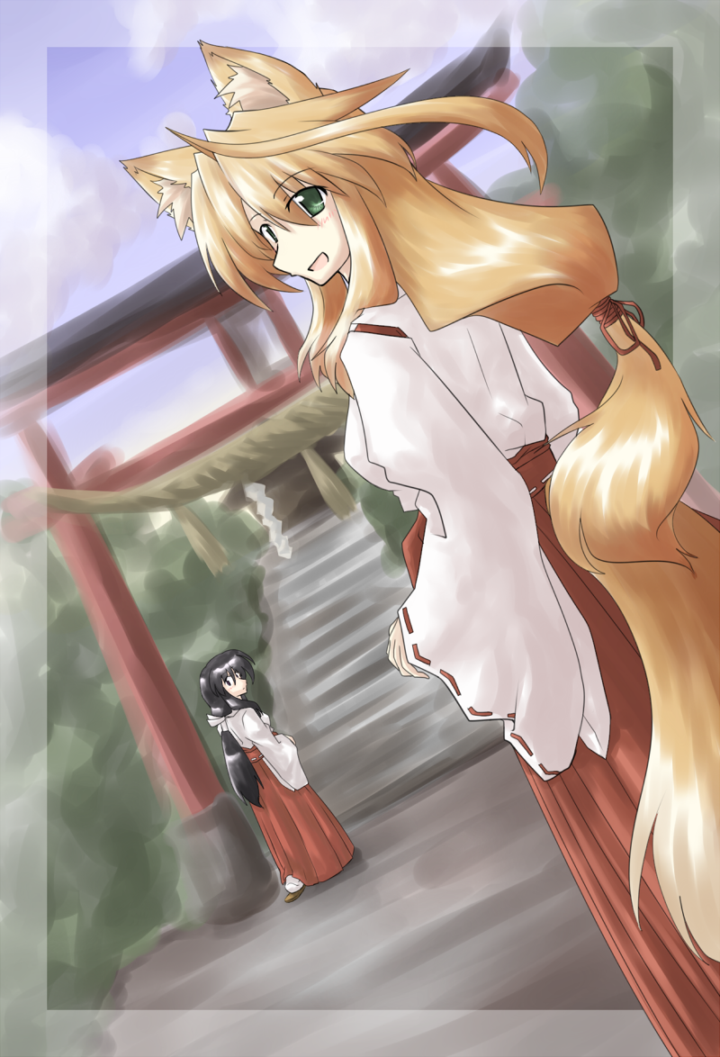 �}�t2009�@-�@�_�y�ρX��