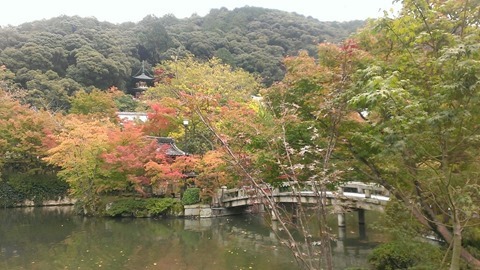 1403304_245158192308131_1530703133_o